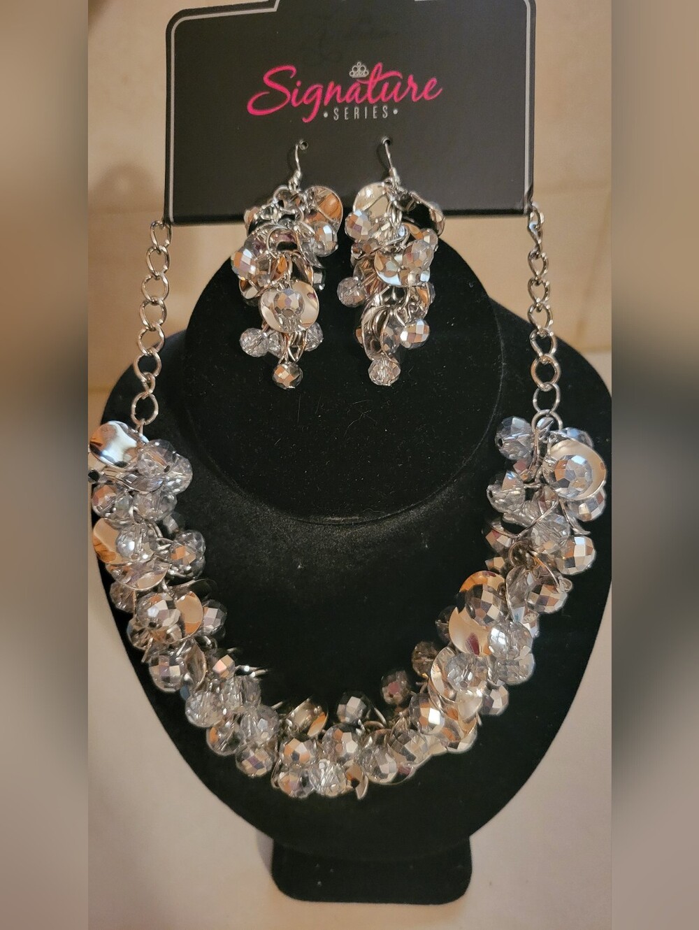 The Haydee Zi Signature Necklace Set By Paparazzi New